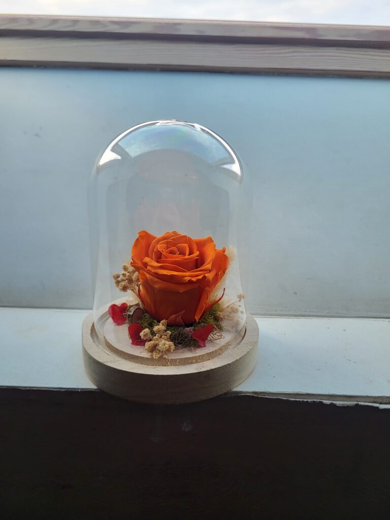 Cloche rose éternelle (2)